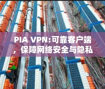 PIA VPN:可靠客户端,保障网络安全与隐私 PIA VPN:可靠客户端,保障网络安全与隐私