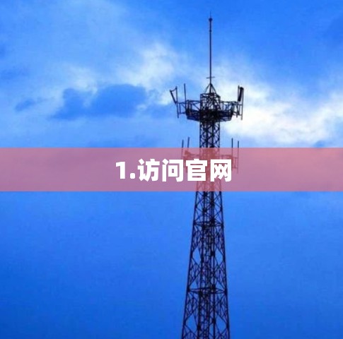 1.访问官网 1.访问官网