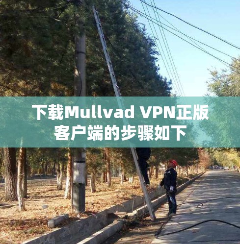下载Mullvad VPN正版客户端的步骤如下 下载Mullvad VPN正版客户端的步骤如下