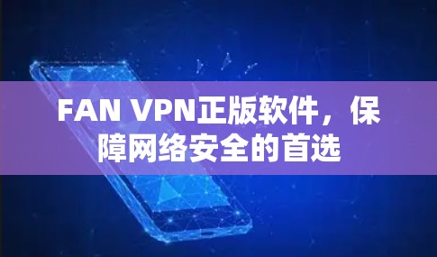 FAN VPN正版软件，保障网络安全的首选