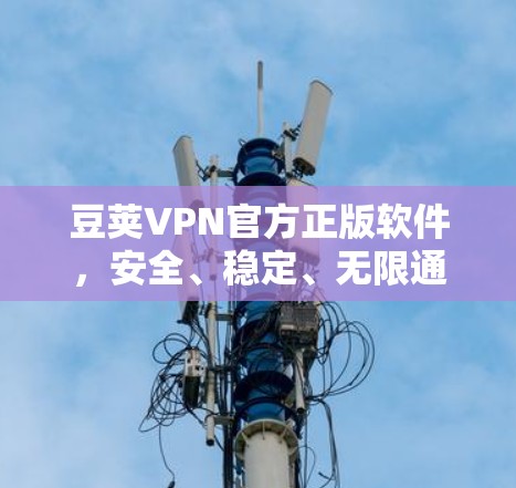 豆荚VPN官方正版软件，安全、稳定、无限通畅