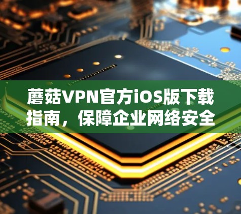 蘑菇VPN官方iOS版下载指南，保障企业网络安全