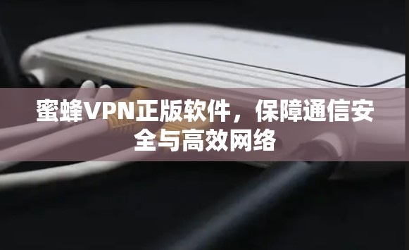 蜜蜂VPN正版软件,保障通信安全与高效网络 蜜蜂VPN正版软件,保障通信安全与高效网络