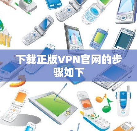 下载正版VPN官网的步骤如下 下载正版VPN官网的步骤如下