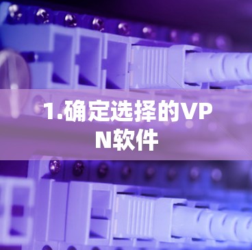1.确定选择的VPN软件 1.确定选择的VPN软件