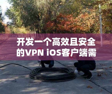 开发一个高效且安全的VPN iOS客户端需要遵循以下步骤 开发一个高效且安全的VPN iOS客户端需要遵循以下步骤