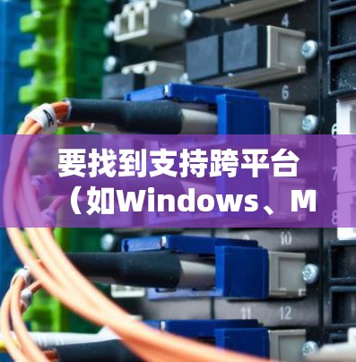 要找到支持跨平台(如Windows、Mac、iOS和Android)的VPN下载入口,可以按照以下步骤操作 要找到支持跨平台(如Windows、Mac、iOS和Android)的VPN下载入口,可以按照以下步骤操作