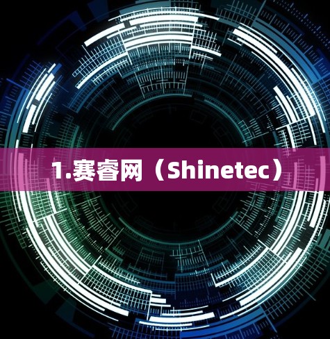 1.赛睿网(Shinetec) 1.赛睿网(Shinetec)