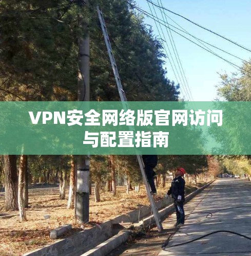 VPN安全网络版官网访问与配置指南